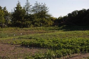 DSC_0357 /images/uploads/2016/02/DSC_0357-300x199.jpg