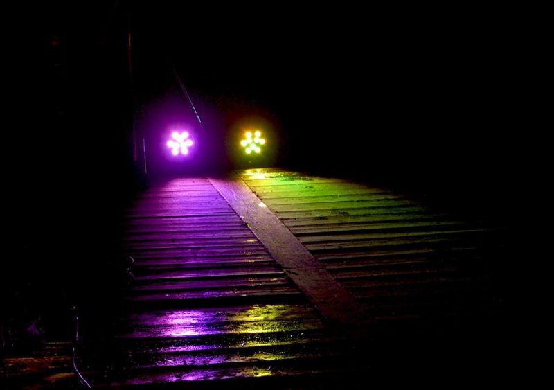 /images/uploads/2018/04/musikudvalg-800x563.jpg /images/uploads/2018/04/musikudvalg-800x563.jpg